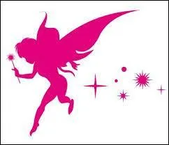 Qu'est-ce qui est représenté en rose ?