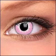 Qu'est-ce qui est représenté en rose ?