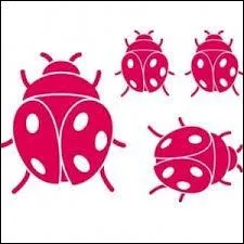 Qu'est-ce qui est représenté en rose ?