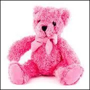 Qu'est-ce qui est représenté en rose ?