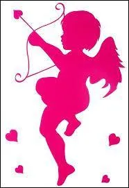 Qu'est-ce qui est représenté en rose ?