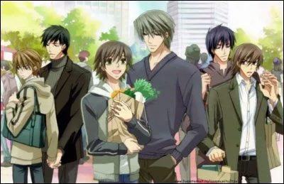 "Junjou Romantica" : Comment s'appelle le frère de Misaki ?