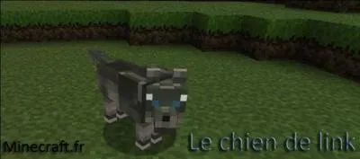 Voici un chien, combien de points de vie a-t-il ?