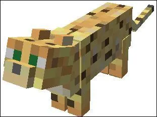 Voici un ocelot, combien de points de vie a-t-il ?