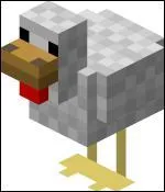 Voici une poule, combien de points de vie a-t-elle ?