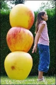 Que signifie cette image ?