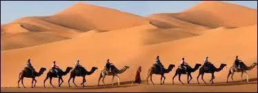 Quel est le troisième pays le plus peuplé d'Afrique après le Nigeria et l'Éthiopie ?