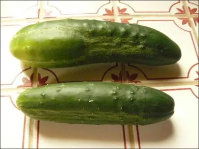 Mais qu'allez-vous encore goûter, et qui ne vous fera pas grossir ?