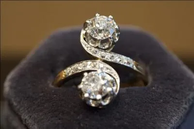 Donnez-moi le nom de cette bague ?