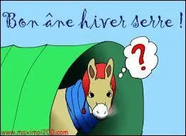 Il y a un jeu de mots sur cette image.