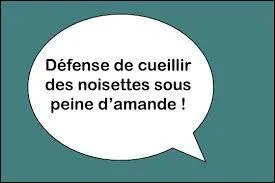 Il y a un jeu de mots sur cette image.