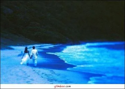 A qui pensez-vous en écoutant "Faire avec toi le plus long, le plus beau voyage...." ?