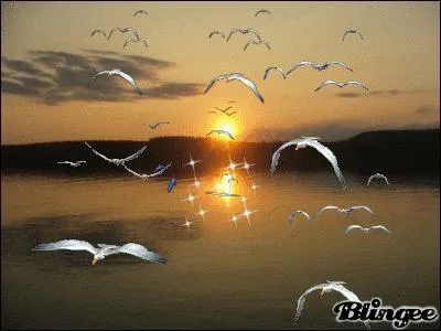 Retrouvez ce magnifique roman de Selma Lagerlöf :