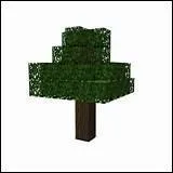 Quel est cet objet ?