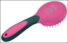 Comment s'appelle cette brosse ?