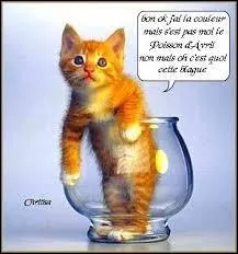 Pour quelle raison ?