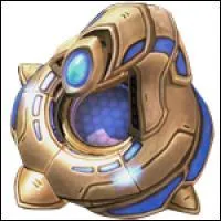 Que voit-on à l'image ?