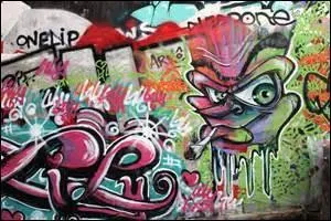 Comment appelle-t-on une inscription faite à la peinture sur un mur ?