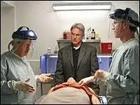 Dans la saison 8, qui sont les deux médecins légistes qui travaillent avec l'équipe de Gibbs ?