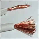 Comment appelle-t-on l'intérieur d'un fil électrique ?