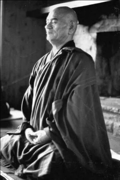 Quel maître répondit au disciple : "Le tathatâ (ce qui est ainsi, l'esprit) ne peut être acquis, il ne peut pas non plus ne pas être acquis. Que veux-tu, au juste ?" ?