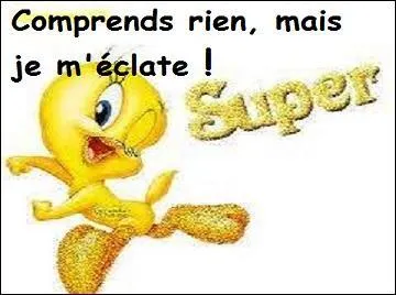 Si vous touchez votre « guelte » à la fin de ce quiz, que se passera-t-il ?