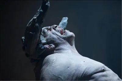 Dans la mythologie grecque, qui est la mère du Minotaure ?