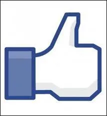 Alors avez-vous aimez notre exposé ?