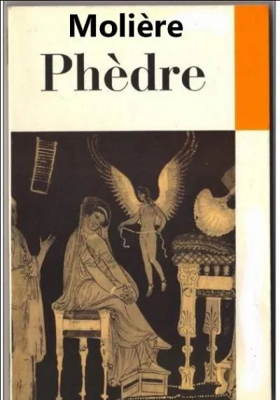 Quel est le nom de l'auteur ?
