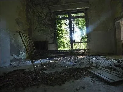 A combien estime-t-on les personnes mortes sur cette île de 9 hectares ?