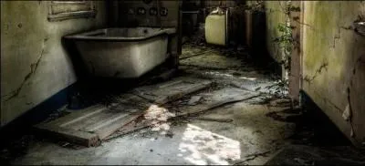 Un homme d'affaires italien, Luigi Brugnaro a racheté l'île pour 513 000 euros en 2014. Que veut-il en faire ?