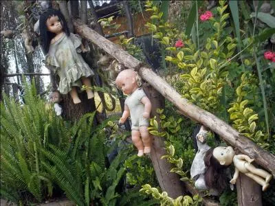 A partir de quelle année, environ, sont organisées des excursions touristiques dans cette île ?