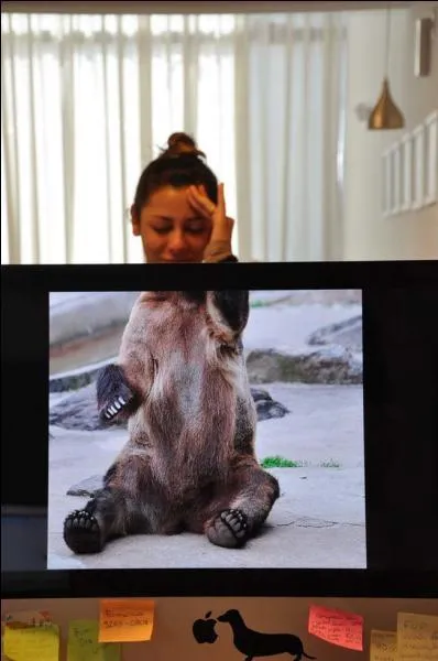 Trouvez le nom d'une héroïne de conte pour enfants !