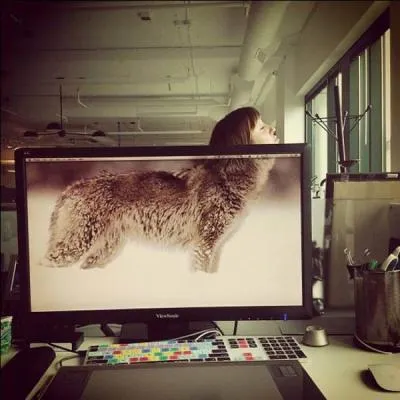 Trouvez le titre d'une nouvelle d'Alphonse Daudet !