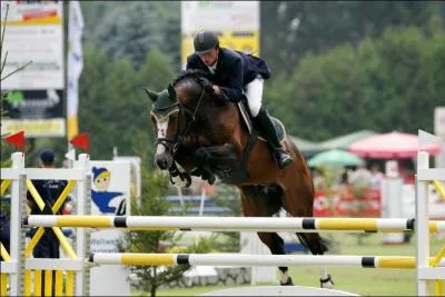 Ce cheval est le fils de Baloubet du Rouet. Comment s'appelle-t-il ?