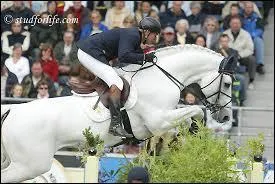 Vous avez reconnu ce cheval gris qui mesure 1 m 85 pour 700 kg.