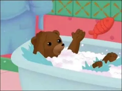 Où est Petit Ours brun ?