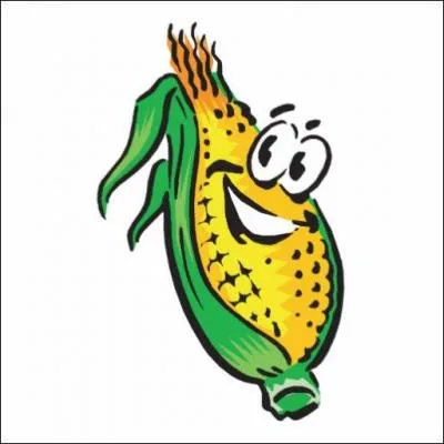 À la mi-avril, le blé est... !