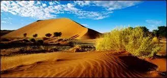 En quelle année la Namibie a-t-elle obtenu son indépendance ?