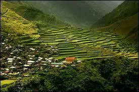 Quel grand navigateur a été tué aux Phillippines ?