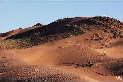 Quelle est la particularit&eacute; de l'&eacute;tape "chou-fleur" tant redout&eacute;e par les &eacute;quipages et les v&eacute;hicules ?