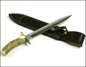 Quel est le nom de cette lame que l'on peut défourailler ?