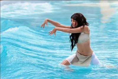 Qui n'est pas un des compagnons d'aventure de ce personnage ?