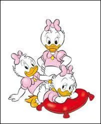 Comment se nomment-elles ?