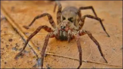 Que vous suggère cette illustration ?