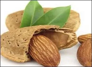 À quel domaine, l'homophone de ce qui est suscité par l'illustration appartient-il ?