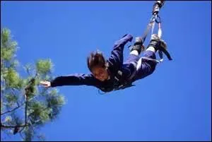 Il n'y a pas de doute, son homophone en trois lettres appartient bien -----. J'ai failli donner la réponse !