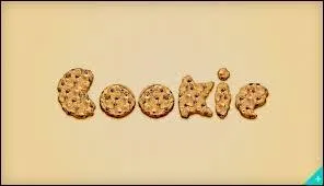 En informatique, qu'est-ce qu'un "cookie" ?