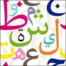 Lequel de ces pays n'a pas pour langue officielle l'arabe ?