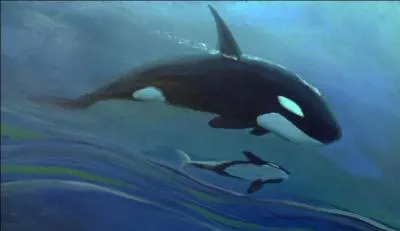 Quels faits relate le documentaire ?